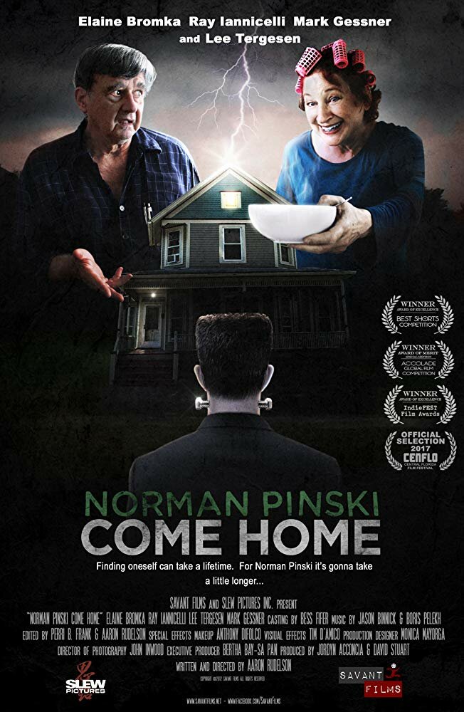 Norman Pinski Come Home (2017) постер