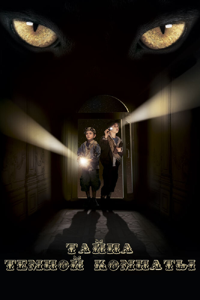 Тайна темной комнаты (2014) постер