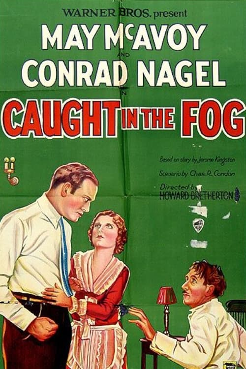 Caught in the Fog (1928) постер