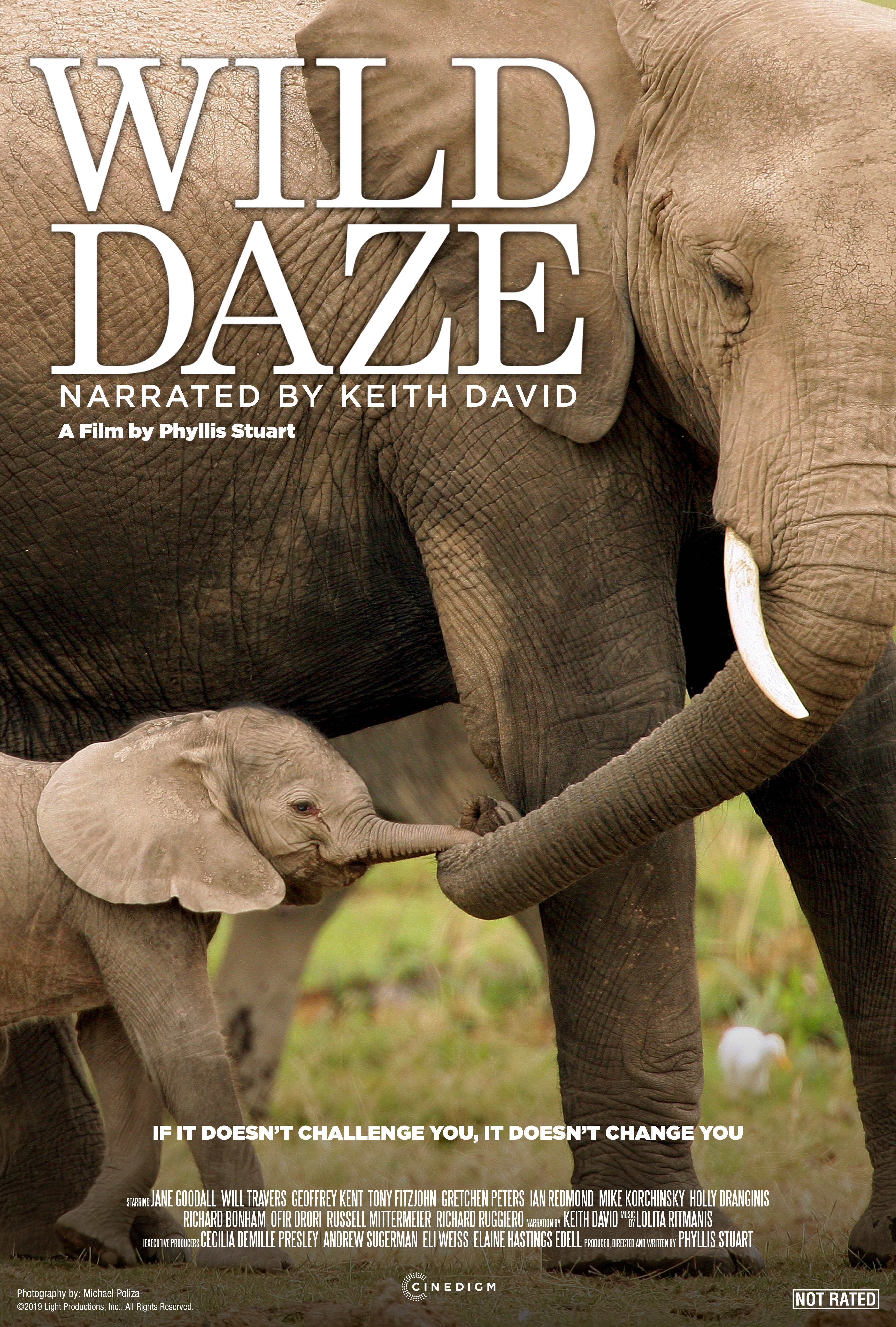 Wild Daze (2020) постер
