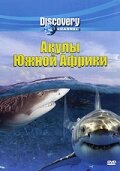Discovery: Акулы Южной Африки (2001) постер