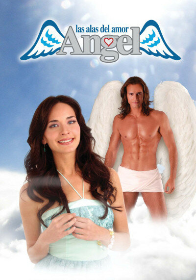 Ангел, крылья любви (2006) постер