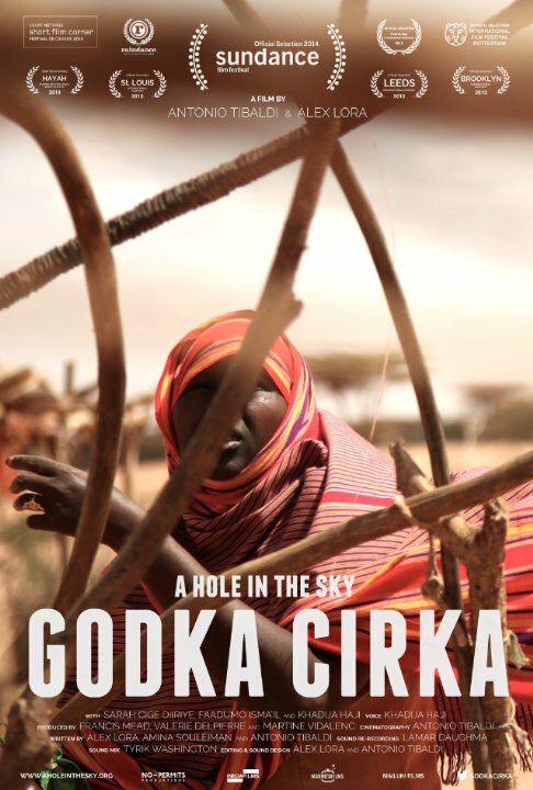 Godka cirka (2013) постер