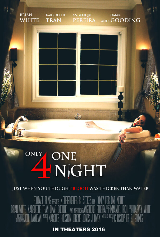 Только на одну ночь (2016) постер