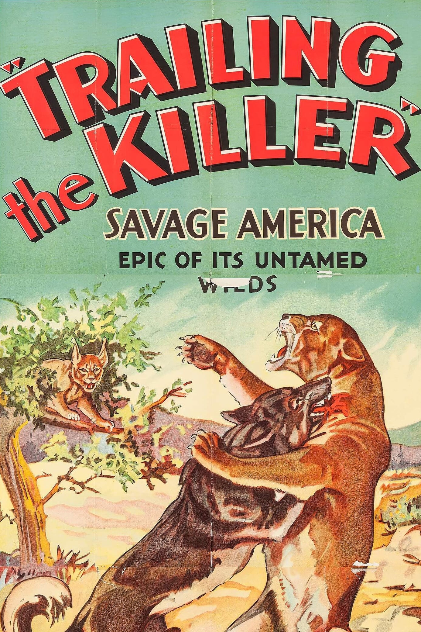Trailing the Killer (1932) постер