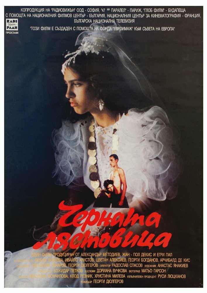 Черная ласточка (1996) постер