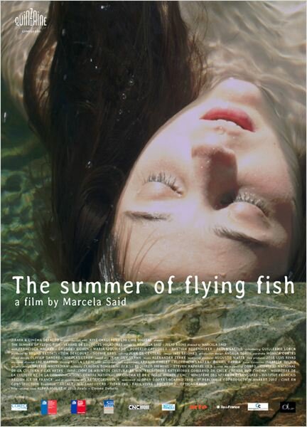 Лето летучих рыб (2013) постер