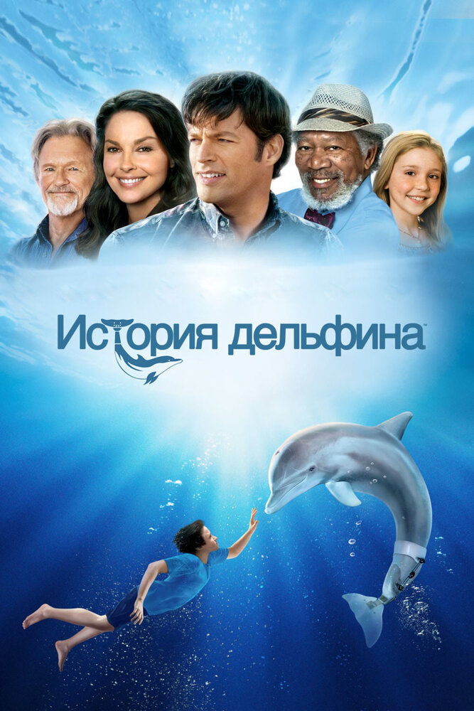 История дельфина (2011) постер