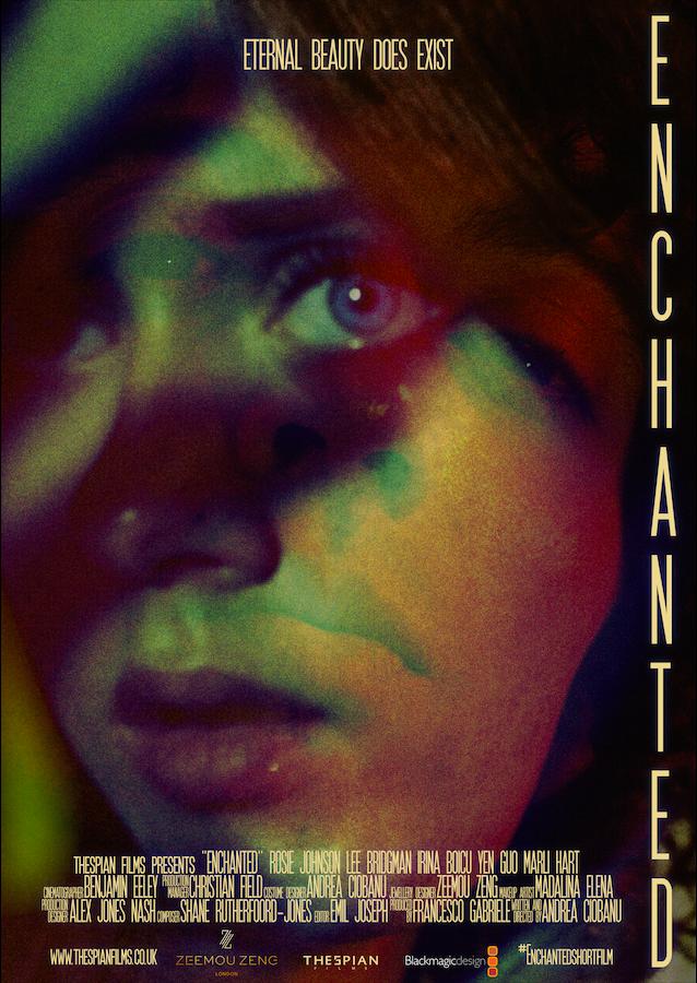 Enchanted (2020) постер