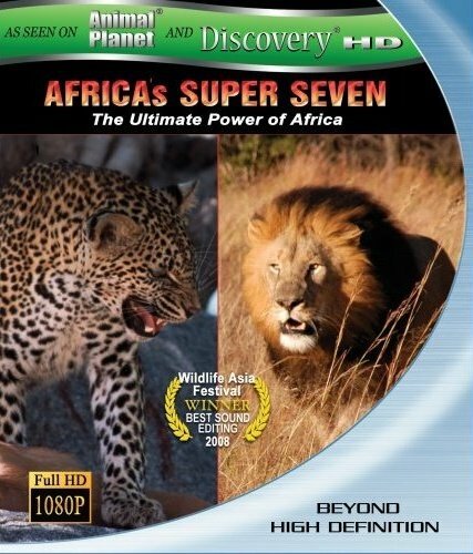 Великолепная семерка Африки (2005) постер