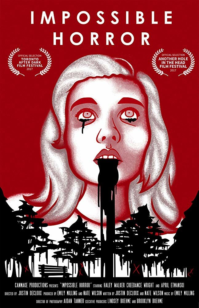 Impossible Horror (2017) постер