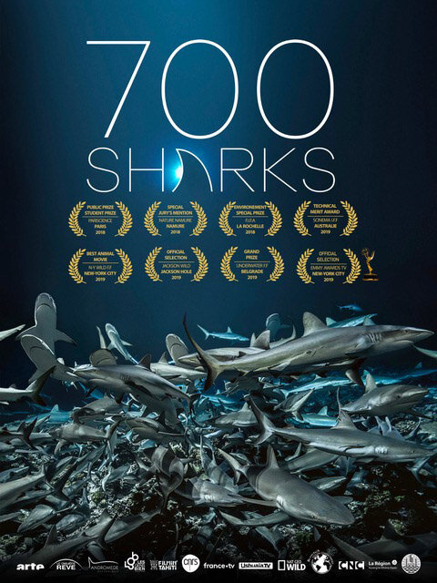 700 акул (2019) постер