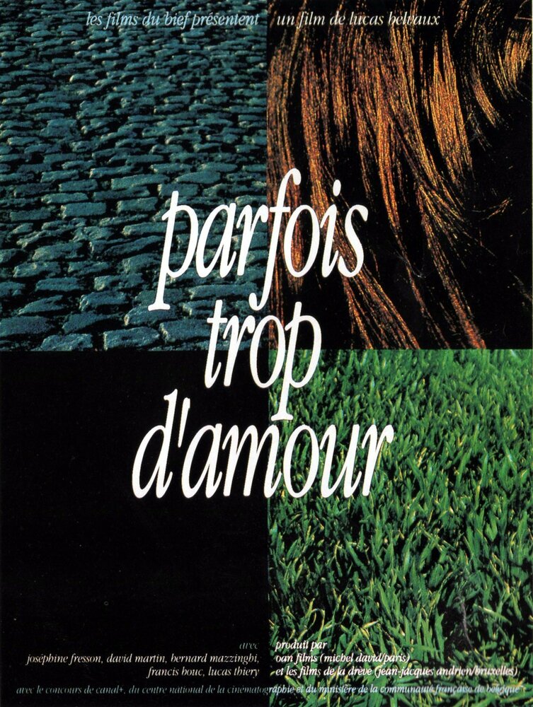 Parfois trop d'amour (1992) постер