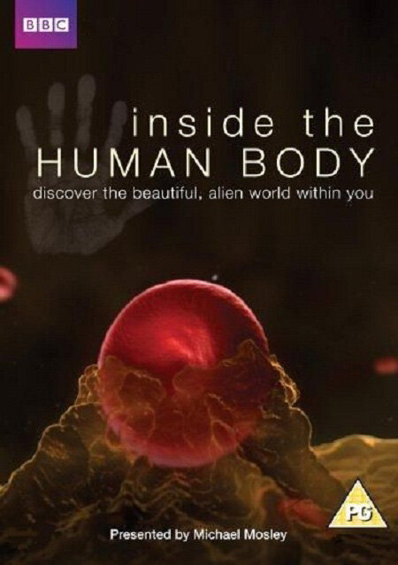 Внутри человеческого тела (2011) постер