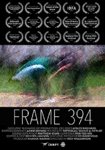 Frame 394 (2016) постер