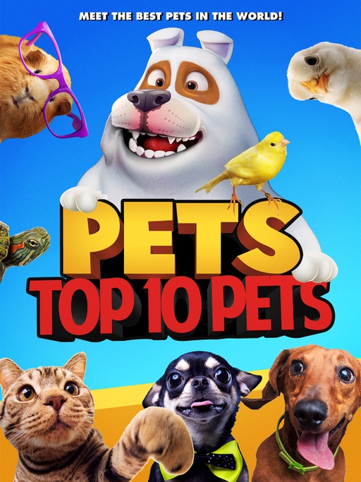 Pets: Top 10 Pets (2021) постер