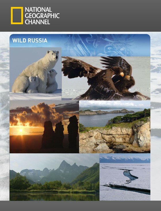 Дикая природа России (2008) постер