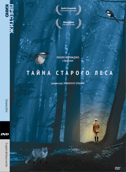 Тайна старого леса (1993) постер