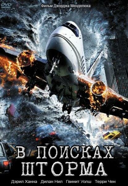 В поисках шторма (2009) постер