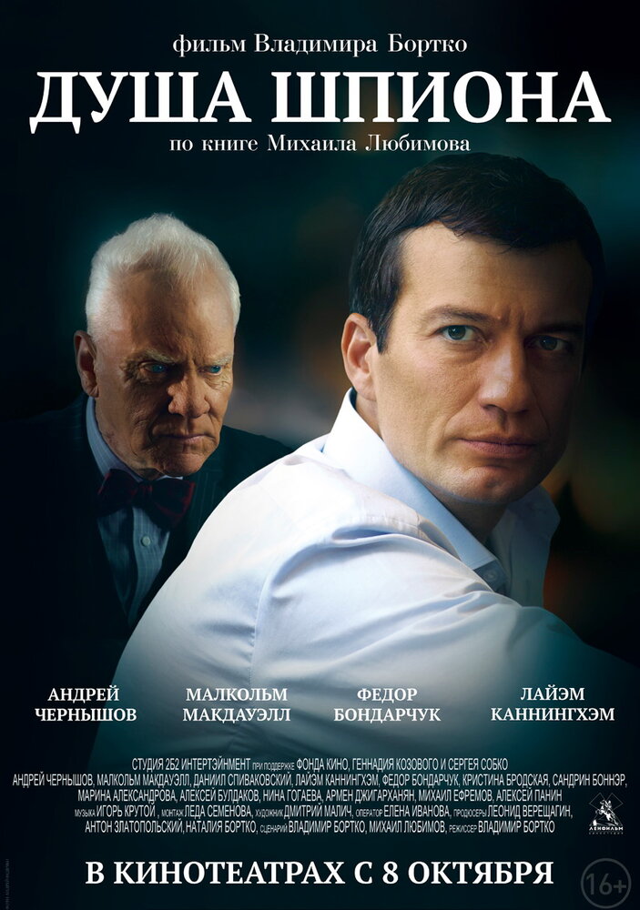 Душа шпиона (2014) постер