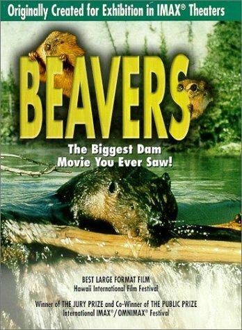 Beavers (1988) постер