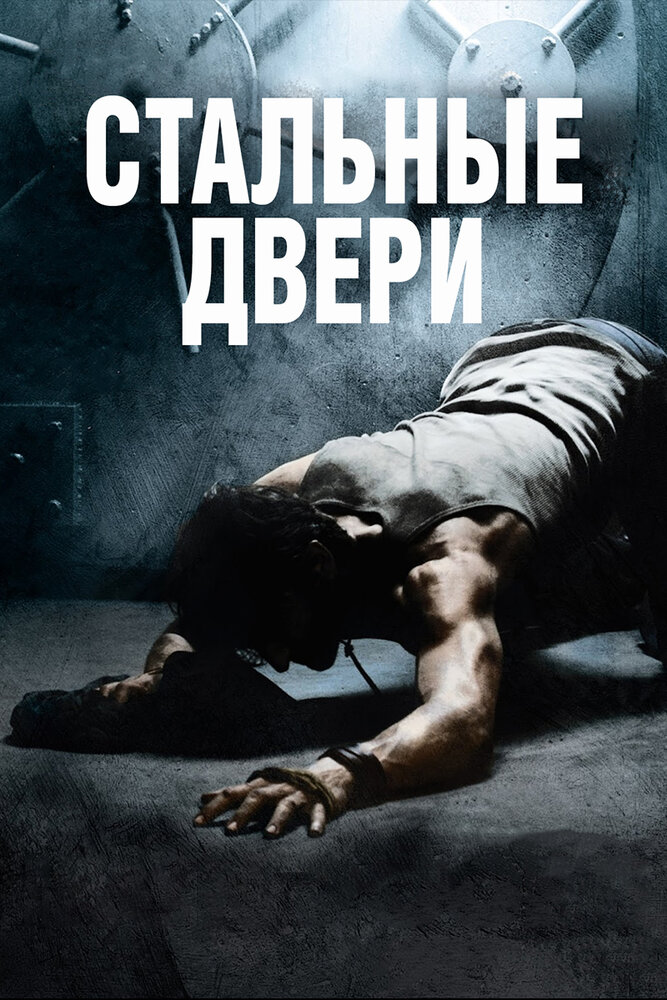 Стальные двери (2010) постер