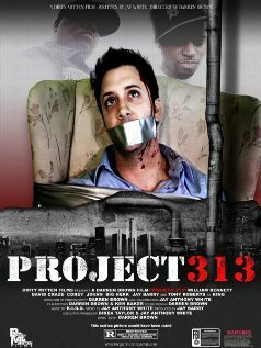 Проект 313 (2006) постер