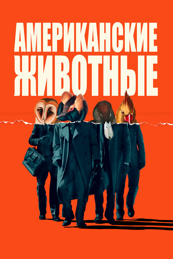 Американские животные (2018) постер