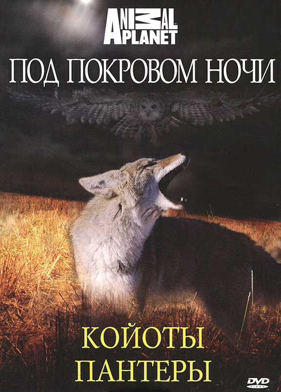 Под покровом ночи (2009) постер