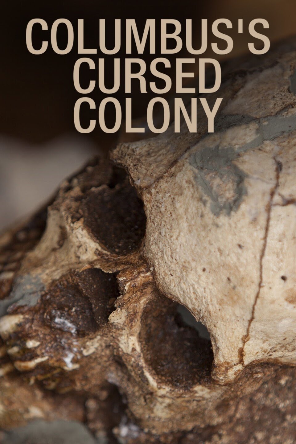 Пропавшая колония Колумба (2010) постер