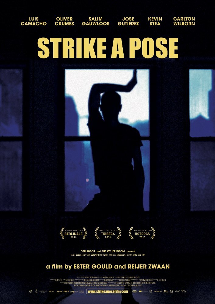Strike a Pose (2016) постер