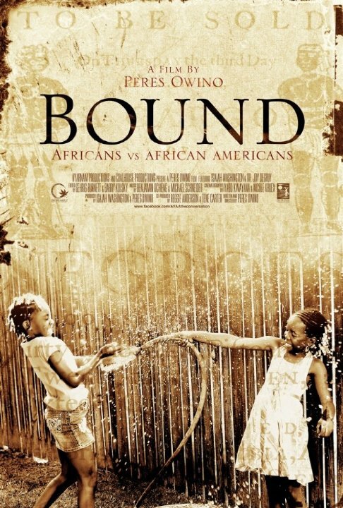 Bound: Africans versus African Americans (2014) постер