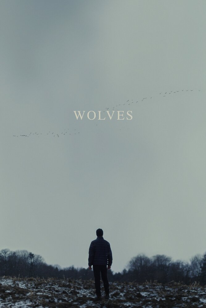 Волки (2022) постер