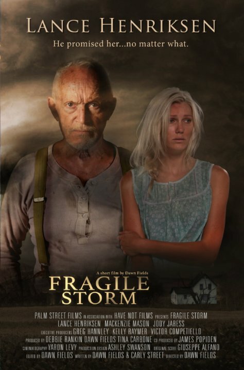 Fragile Storm (2015) постер