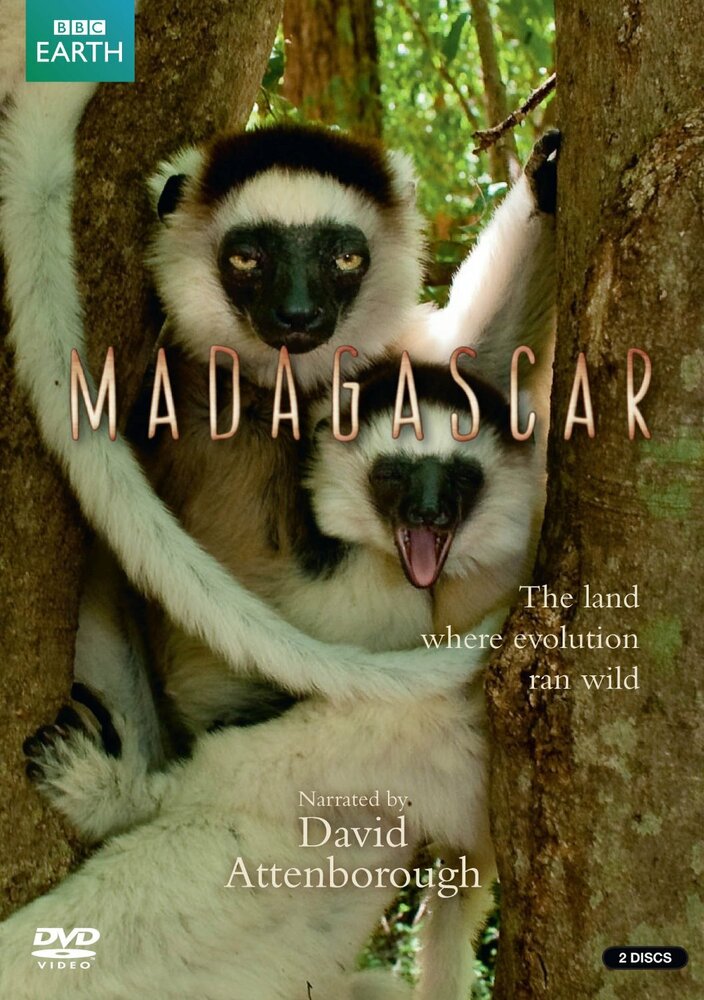BBC: Мадагаскар (2011) постер
