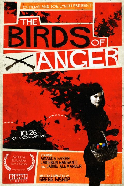 The Birds of Anger (2011) постер