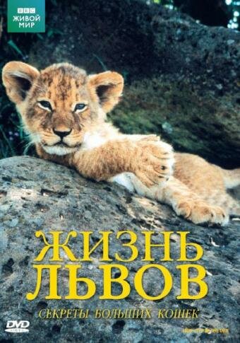 BBC: Жизнь львов (2000) постер