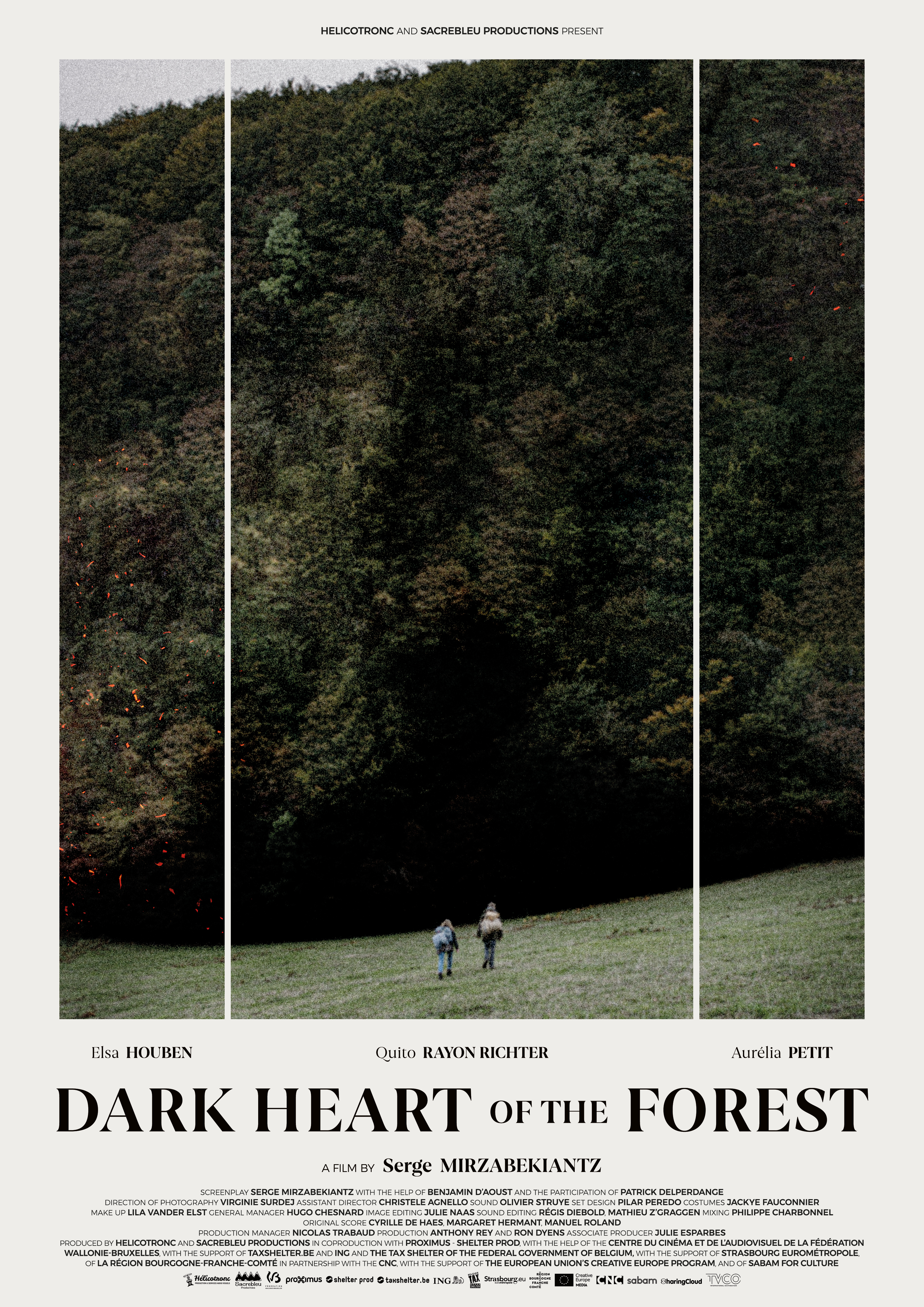 Le coeur noir des forêts (2021) постер