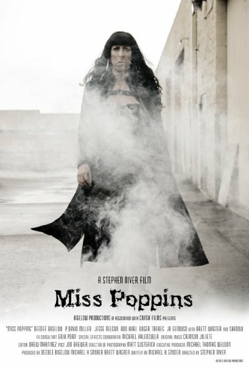 Miss Poppins (2014) постер