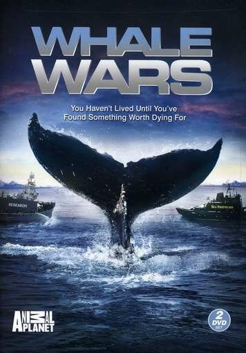 Китовые войны (2008) постер