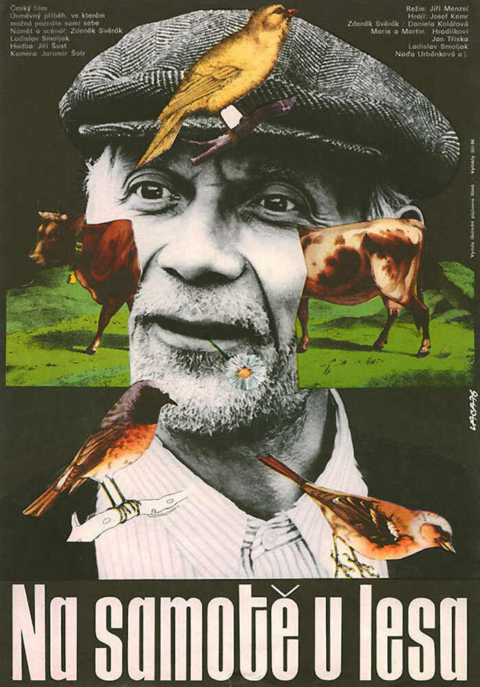 На хуторе у леса (1976) постер