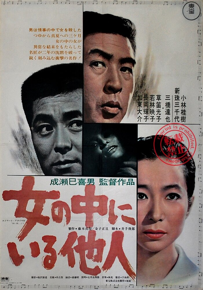 Незнакомец внутри женщины (1966) постер
