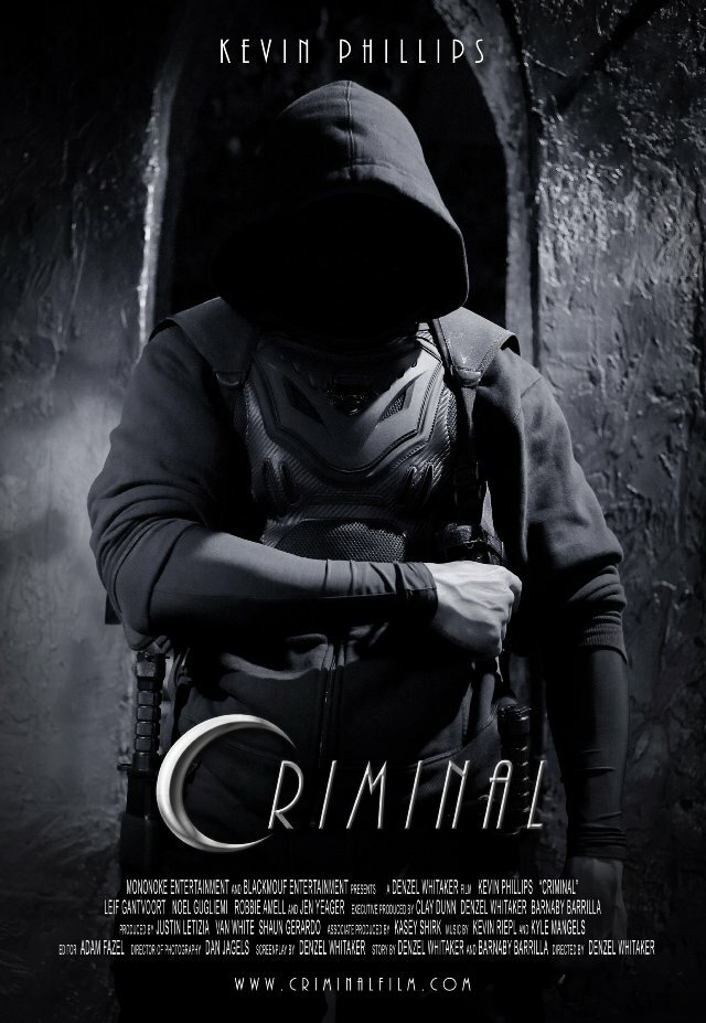 Криминал (2013) постер