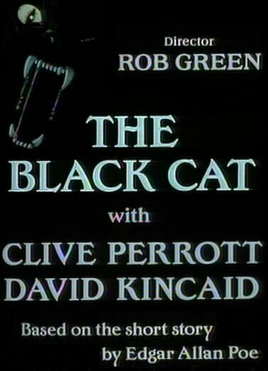 Чёрный кот (1995) постер