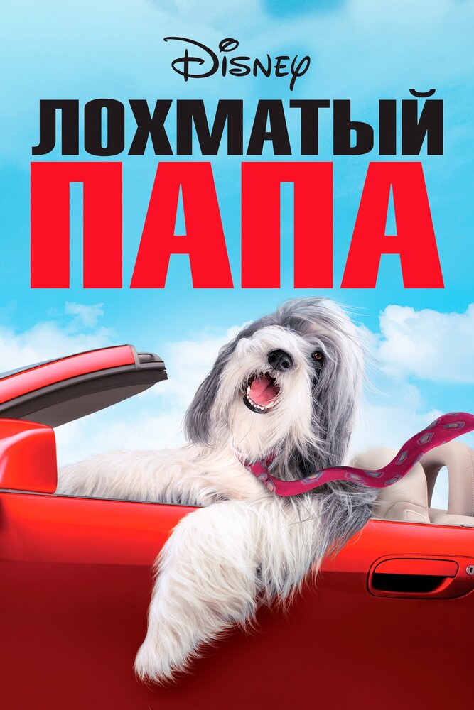 Лохматый папа (2006) постер