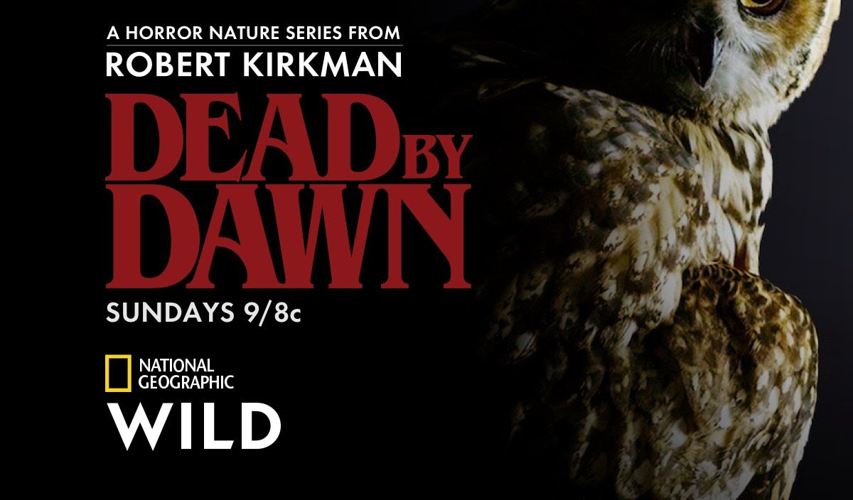 Dead by Dawn (2019) постер