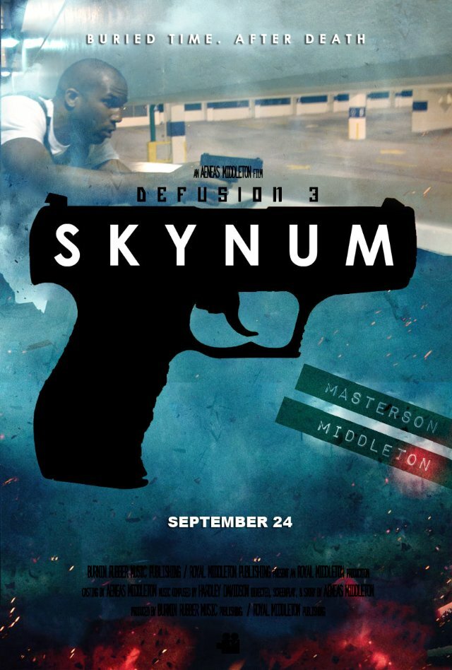Defusion 3: Skynum (2013) постер