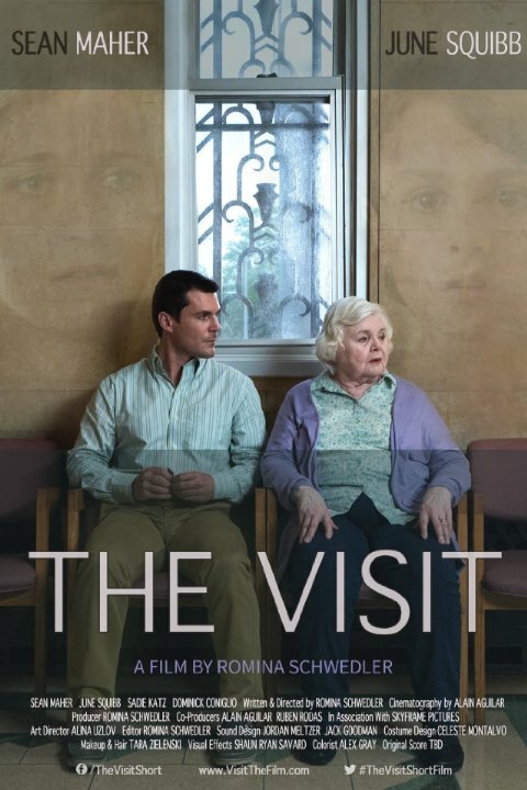 The Visit (2016) постер