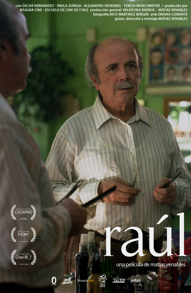 Рауль (2015) постер