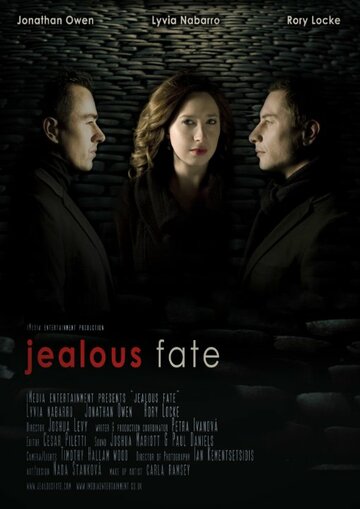 Ревнивая судьба (2010)